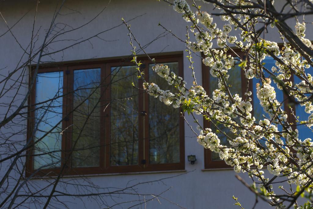 Farah Superior Apartments Bihac Exterior photo